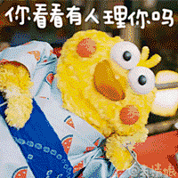 #鹦鹉兄弟##docomo鹦鹉兄弟##表情包##鸡年表情包# 

太喜欢这两只鸡了 噢不 人家是鹦鹉! 鹦鹉! 鹦鹉! 点赞➕评论发全部表情包耶 ​​​​