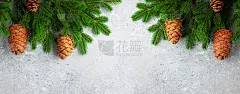 圣诞节或新年背景与绿色冷杉树枝和球果