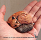 日本艺术家Akie Nakata把捡来的石头变成了动物，它们卖萌发嗲，还有了心事。 ​​​​