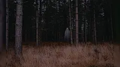 森林中的幽灵Mac动态壁纸