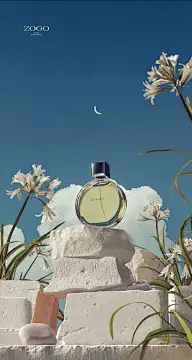 C 参考（鲜花类）