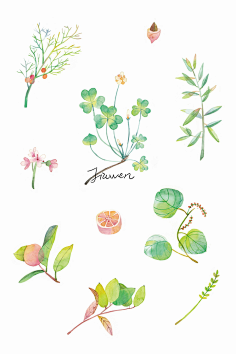 花卉-花瓣网|陪你做生活的设计师 | 美 森系 qq微信聊天背景 插画 森