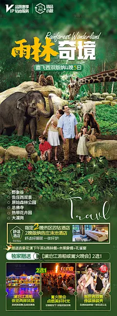 雨林奇境海报-源文件分享-ywjfx.cn