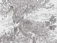 栗子熟酒采集到版画,黑白画