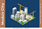 Module isometric city of houses