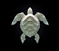 海龟剪纸.jpg