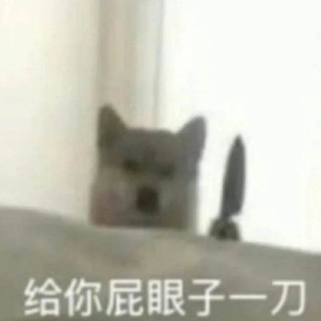 小狗飞刀表情包
