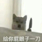 小狗飞刀表情包