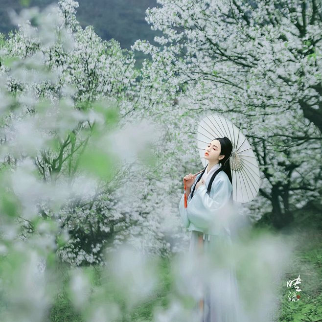 所谓“花开荼蘼花事了”、“流光容易把人抛...