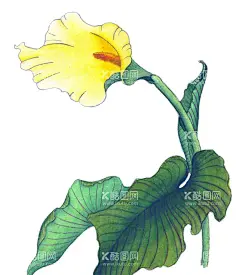 百花争艳    - 源文件下载【酷图网】百花争艳,国画百花争艳,国画,花鸟画,花,水墨画,花朵,红花,手绘花朵,手绘花,水墨画花,抽象花,工笔画,月季,牡丹,水墨荷花,