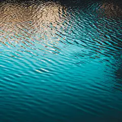 Reflective Ripples : Self-project dedicated to the magical and quiet nature scenery. Capturing the magic and beauty of water and its patterns and reflections.