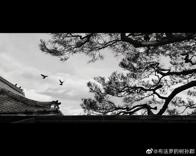庭际微风动，高松韵自生。听时无物乱，尽日...