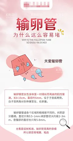 输卵管科普医疗海报  - 源文件下载【酷图网】海报,医疗,科普,小贴士,输卵管,插画,
