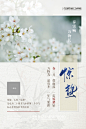 二十四节气海报