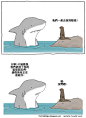 鲨鱼的约定。