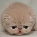 六北