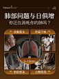 美国进口巴西棕蜂胶肺部保健品呼吸肺动力润肺护肺槲皮素胶囊-tmall.com天猫