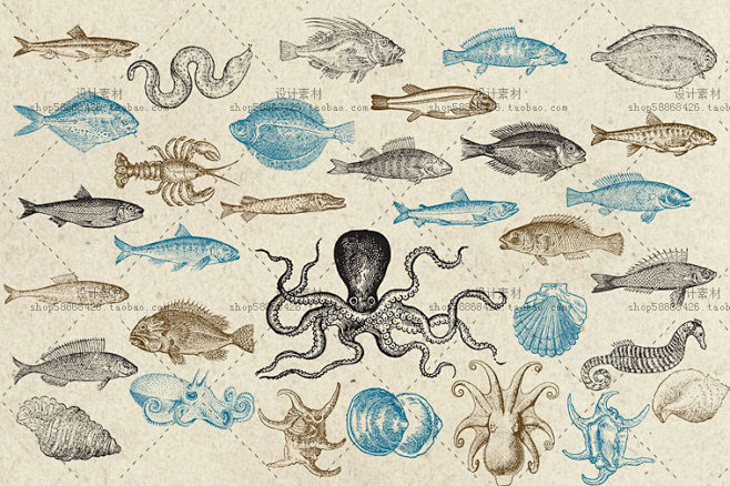 复古海洋生物鱼类章鱼黑白线条矢量图设计素材2017062107淘宝网