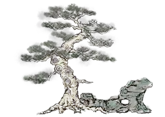 中国风水墨松树松枝