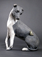 Artist: Ronnie Gould, Title: Greyhound; Stoneware: 