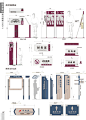 小区总平面图,资料架,功能导向牌,区域指示牌,门牌logo设计