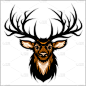鹿,动物头,分离着色,白色,野生动物,白尾鹿,哺乳纲,巨大的,自然美,动物