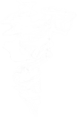 烟雾2