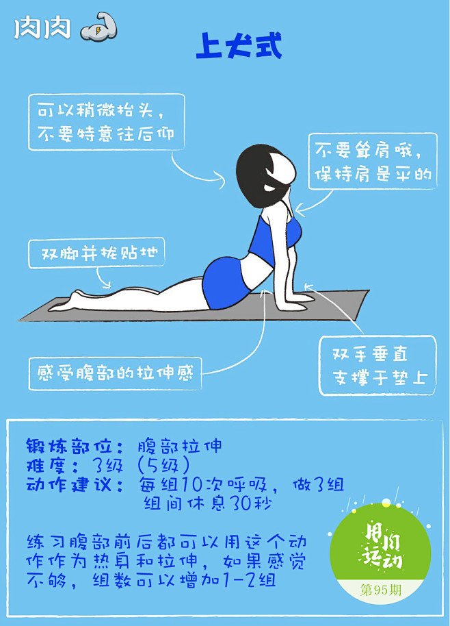 入门级瑜伽上犬式