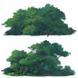 plant_lod0