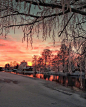 20201214003716_xcbim.jpg (113 KB,690*862)