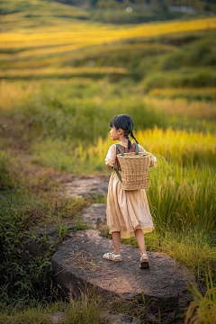 惊梦°采集到晨曦