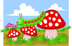 蘑菇, 幼虫, 毛虫, 昆虫, 自然