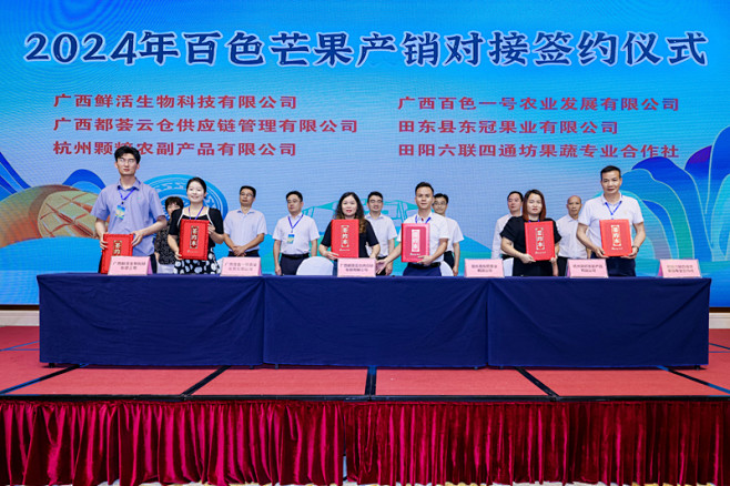 2024第九届“互联网+百色芒果节”正式...