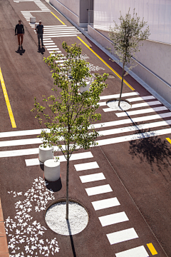 柒宁采集到景观之铺装道路树池坐凳平台