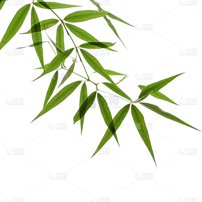 绿色树叶静态贴纸