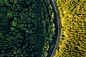 【知识星球：地产重案】Road, Drone, Aerial, Trip, Travel, Poland, Europe