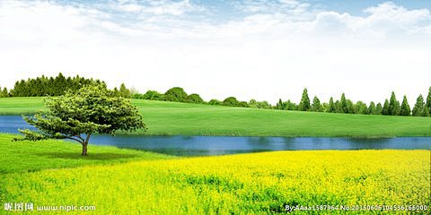 大自然_360图片