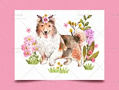 手绘水彩可爱卡通动物儿童插画小熊九尾狐考拉鹿AI矢量设计源文件-淘宝网