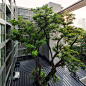 泰国via botani 景观 / Openbox Architects – mooool木藕设计网
