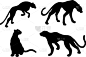 美洲豹,野生猫科动物,美洲虎,野生动物,猎豹,壁纸,彪马,狮子,绘制