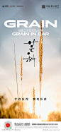 芒种小满立秋海报_源文件下载_PSD格式_1498X3251像素-立秋海报,芒种,小满,麦穗-作品编号:2023060514453921-志设-zs9.com