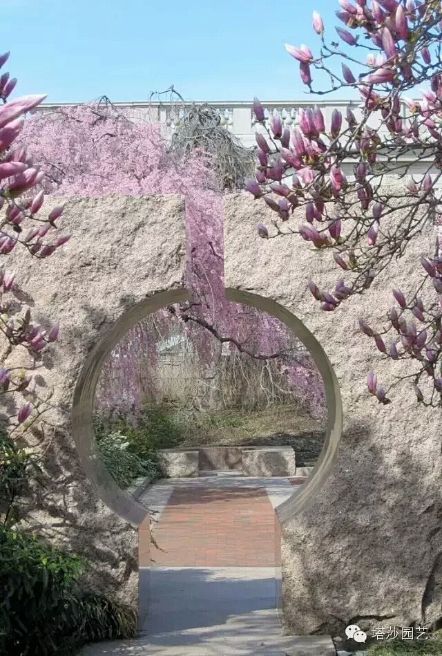 #花园设计#美炸了的月亮门像牵引着一条异...