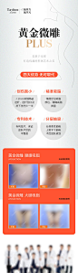 黄金微雕吸脂-源文件