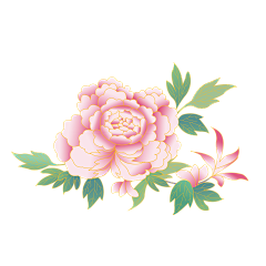 蔷薇Rose吖采集到各种花