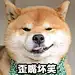 快乐死鱼