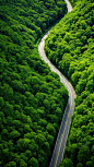 lei5471_aerial_view_of_a_winding_road_in_a_lush_green_forest_in_238fd906-1026-437d-a398-60fe1ab6b687