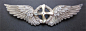 第二次世界大战航空翅膀和徽章 