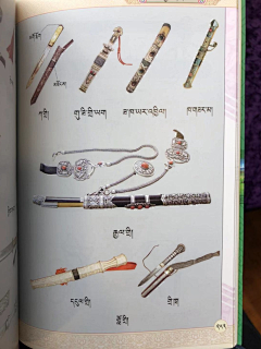 江阳采集到藏甲