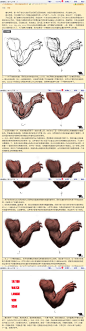 人体解剖之：皮肉描绘技巧_王九斤_新浪博客