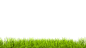 grass_2 copy